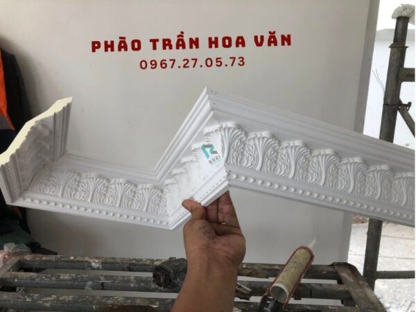 phào pu cổ trần hoa